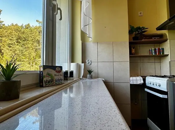 公寓 Sea By Yoca 索波特